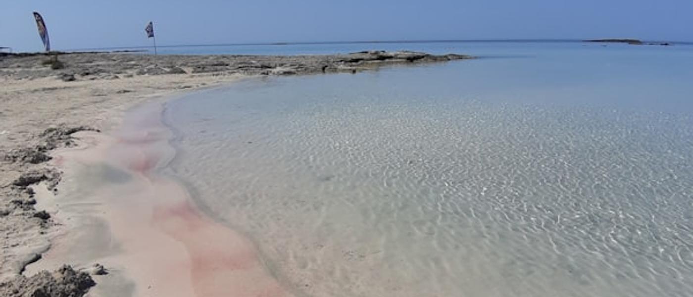 Family Rhodes: Knights, Castles & Beaches