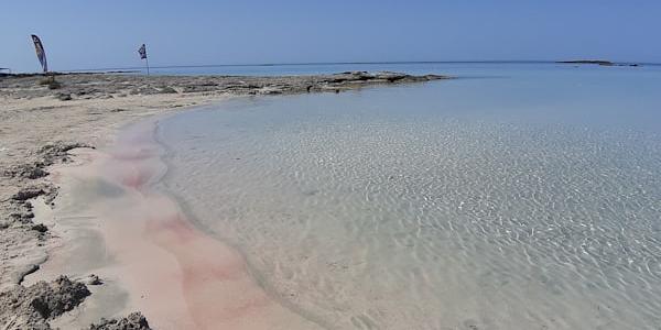 Family Rhodes: Knights, Castles & Beaches