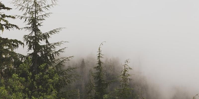 Κόλπος Αγίου Παύλου